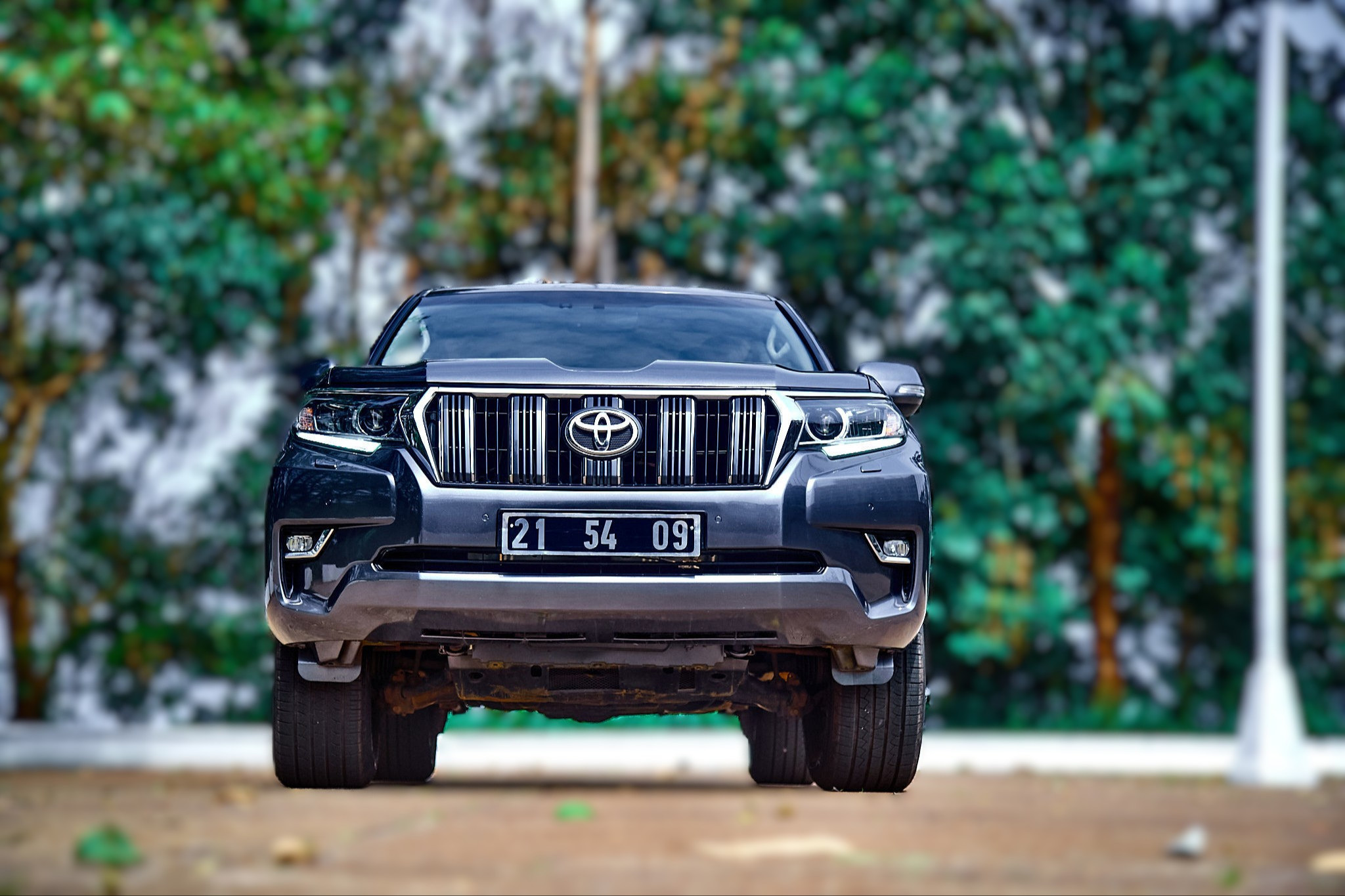 TOYOTA PRADO VX 2019 (CAMI) - Image 2
